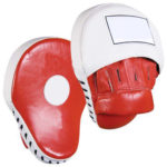 13-Boxing-Focus-Mitts.jpg