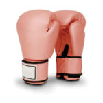 TITLE-MMA-Gear-Equipment-_-TITLE-Boxing-Gear.jpg